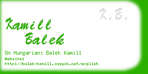 kamill balek business card